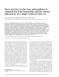 Pax6 activity in the lens primordium is required for lens formation