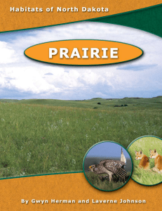 a pdf of the full Prairie unit