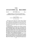 anatomical record - Deep Blue
