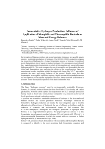 Fermentative Hydrogen Production: Influence of Application of