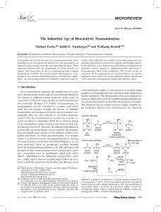 The Industrial Age of Biocatalytic Transamination