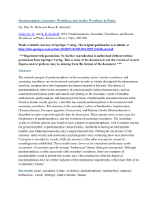 Paedomorphosis, Secondary Woodiness, and Insular