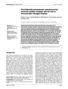 The KIebsieIIa pneumoniae cytochrome bd