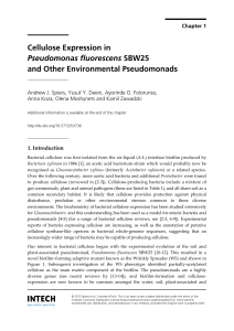 Cellulose Expression in Pseudomonas fluorescens