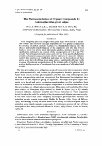 The Photoassimilation of Organic Compounds by Autotrophic Blue