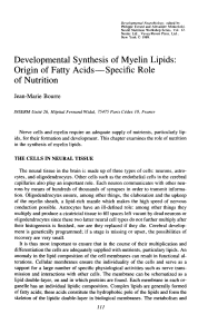 Developmental Synthesis of Myelin Lipids: Origin of Fatty Acids