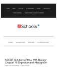 NCERT Solutions Class 11th Biology: Chapter 16 Digestion and