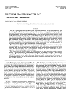 THE VISUAL CLAUSTRUM OF THE CAT I. Structure and Connections`
