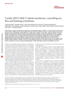 Cardiac BIN1 folds T-tubule membrane, controlling ion flux and