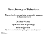 Neurobiology of Behaviour