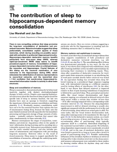 The contribution of sleep to hippocampus