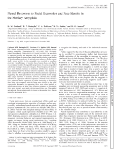 Neural Responses to Facial Expression and Face Identity in the