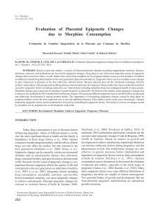 Evaluation of Placental Epigenetic Changes due to