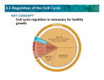 5.3 Regulation of the Cell Cycle