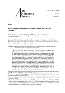 Molecular dynamics simulation studies of lipid bilayer