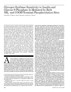 Glycogen Synthase Sensitivity to Insulin and Glucose-6