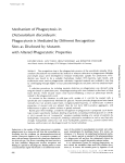 Mechanism of Phagocytosis in Phagocytosis is Mediated by