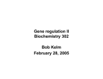 Gene regulation I Biochemistry 302
