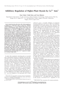 Inhibitory Regulation of Higher-Plant Myosin by