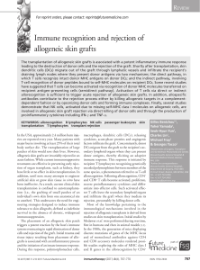 Immune recognition and rejection of allogeneic skin grafts