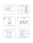 Enzyme Specificity