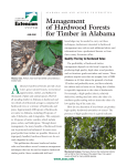 Management of Hardwood Forests for Timber in Alabama