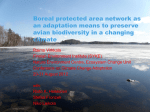 Boreal protected area network as an adaptation means to preserve