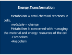 metabole = change