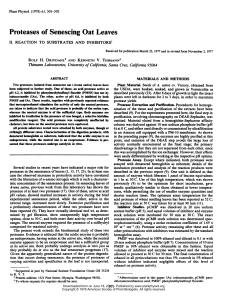 Proteases of Senescing Oat Leaves