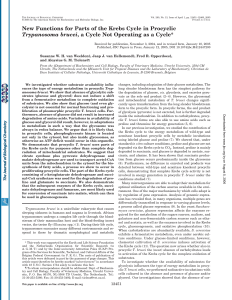 New Functions for Parts of the Krebs Cycle in Procyclic