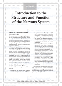 Introduction to the Structure and Function of the Nervous System