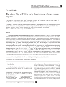 The role of Dby mRNA in early development of male mouse zygotes