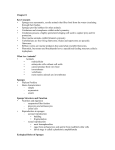 Chapter 8 Key Concepts • Sponges are asymmetric, sessile animals