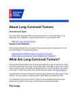 About Lung Carcinoid Tumors What Are Lung Carcinoid Tumors?