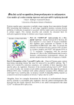 Nucleic acid recognition from prokaryotes to eukaryotes: Case