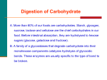 Metabolic Pathways and Energy Production