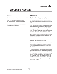 Kingdom Plantae - f