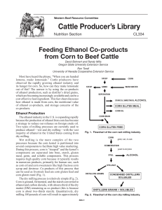 Feeding ethanol co-products from corn to beef cattle.