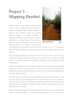 GDC 2016 Mapping Bambui brief [PDF 1.41MB]