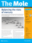 Balancing the risks of mercury
