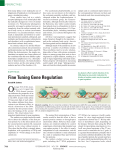 Fine Tuning Gene Regulation