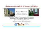Nanoelectrochemical Systems on CMOS