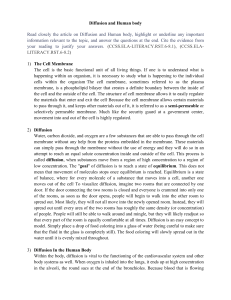 Diffusion and Human body