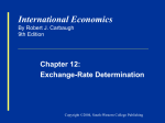 Carbaugh, International Economics 9e, Chapter 13