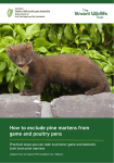 How to exclude pine martens from game and poultry pens