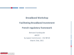 Regulatory framework and state of play of fibre optic networks in