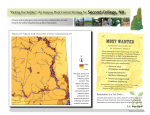 An Invasive Plant Control Strategy for Second College, NH
