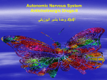 Autonomic Nervous System Anticholinergic Drugs