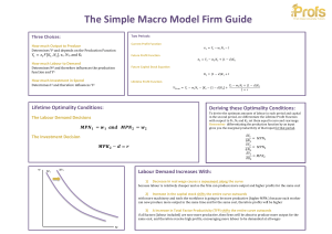 The Simple Macro Model Firm Guide