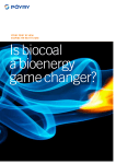 Is Biocoal a bioenergy game changer?